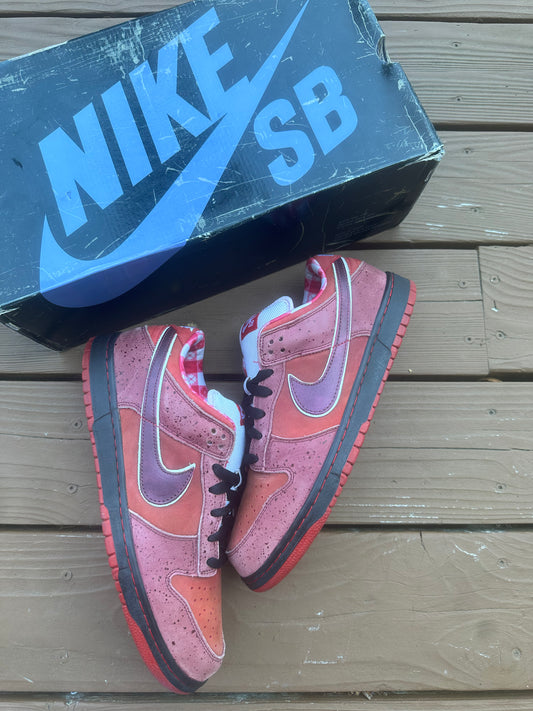 Size 11 - Concepts x Nike SB Dunk Low Premium Red Lobster