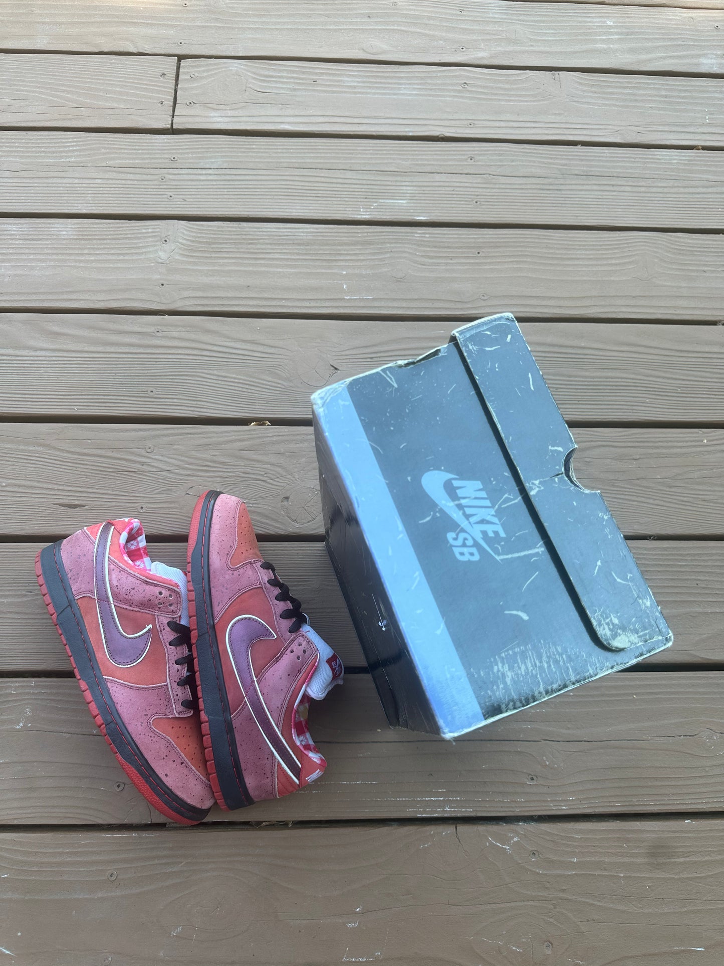 Size 11 - Concepts x Nike SB Dunk Low Premium Red Lobster