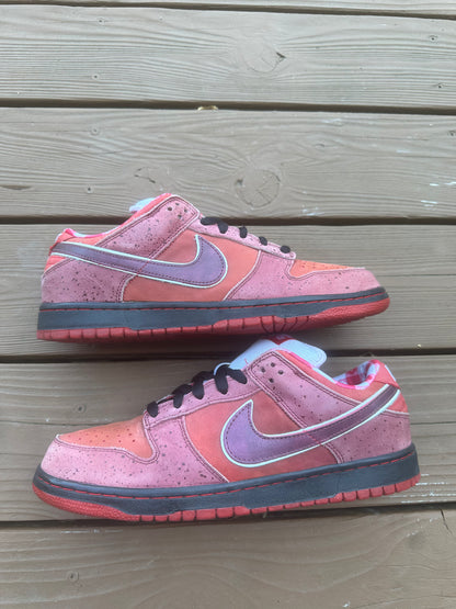 Size 11 - Concepts x Nike SB Dunk Low Premium Red Lobster