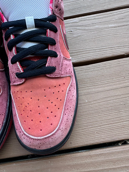 Size 11 - Concepts x Nike SB Dunk Low Premium Red Lobster