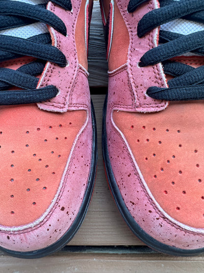 Size 11 - Concepts x Nike SB Dunk Low Premium Red Lobster