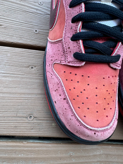 Size 11 - Concepts x Nike SB Dunk Low Premium Red Lobster