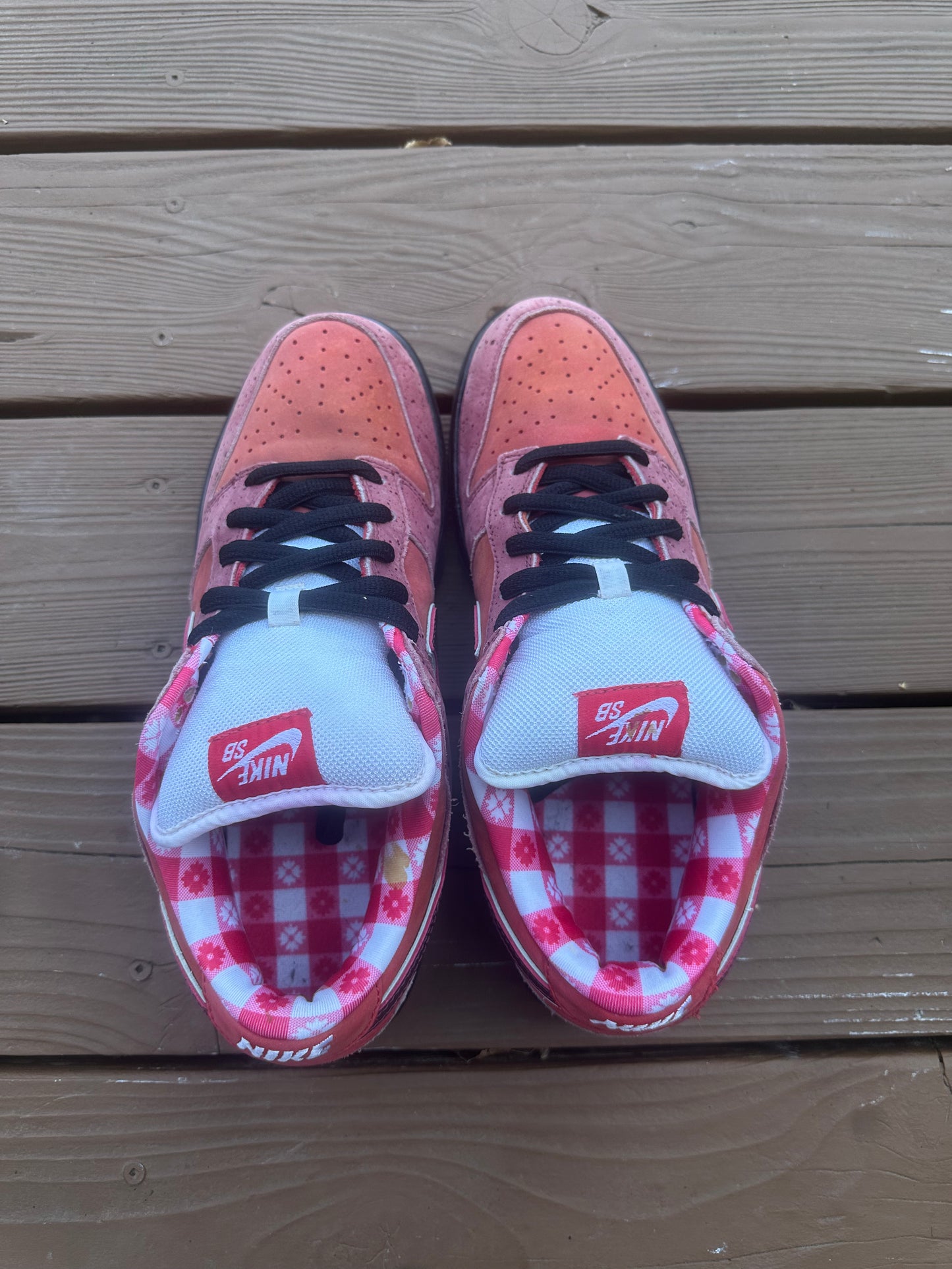 Size 11 - Concepts x Nike SB Dunk Low Premium Red Lobster