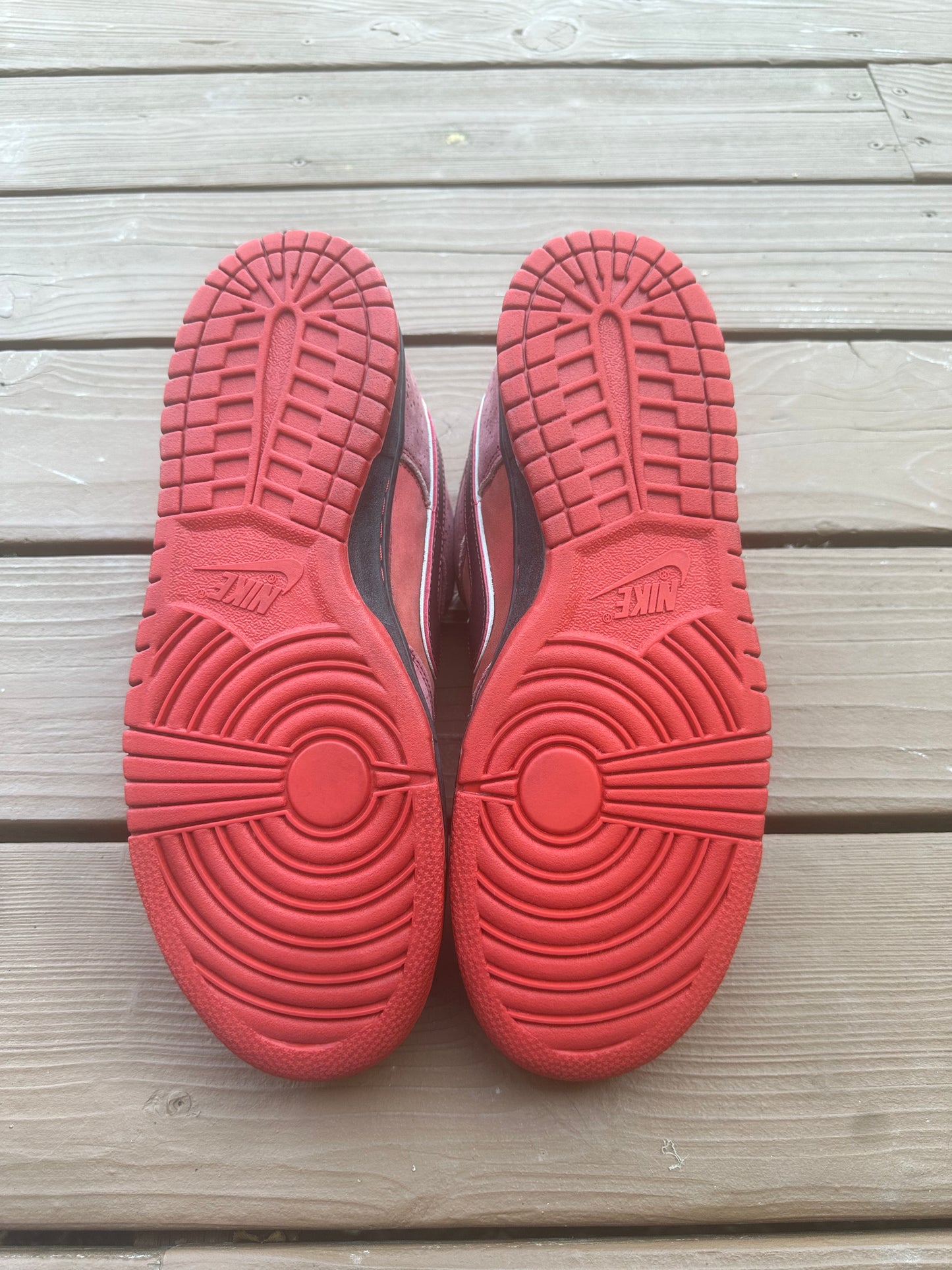 Size 11 - Concepts x Nike SB Dunk Low Premium Red Lobster