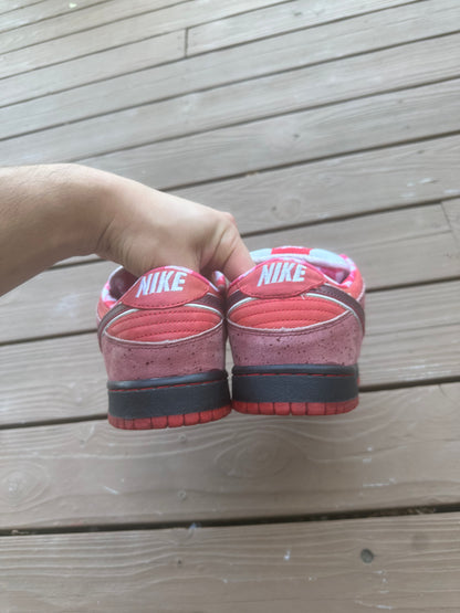 Size 11 - Concepts x Nike SB Dunk Low Premium Red Lobster