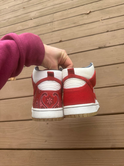 Size 10.5 - Nike Dunk High Pro SB Cheech and Chong