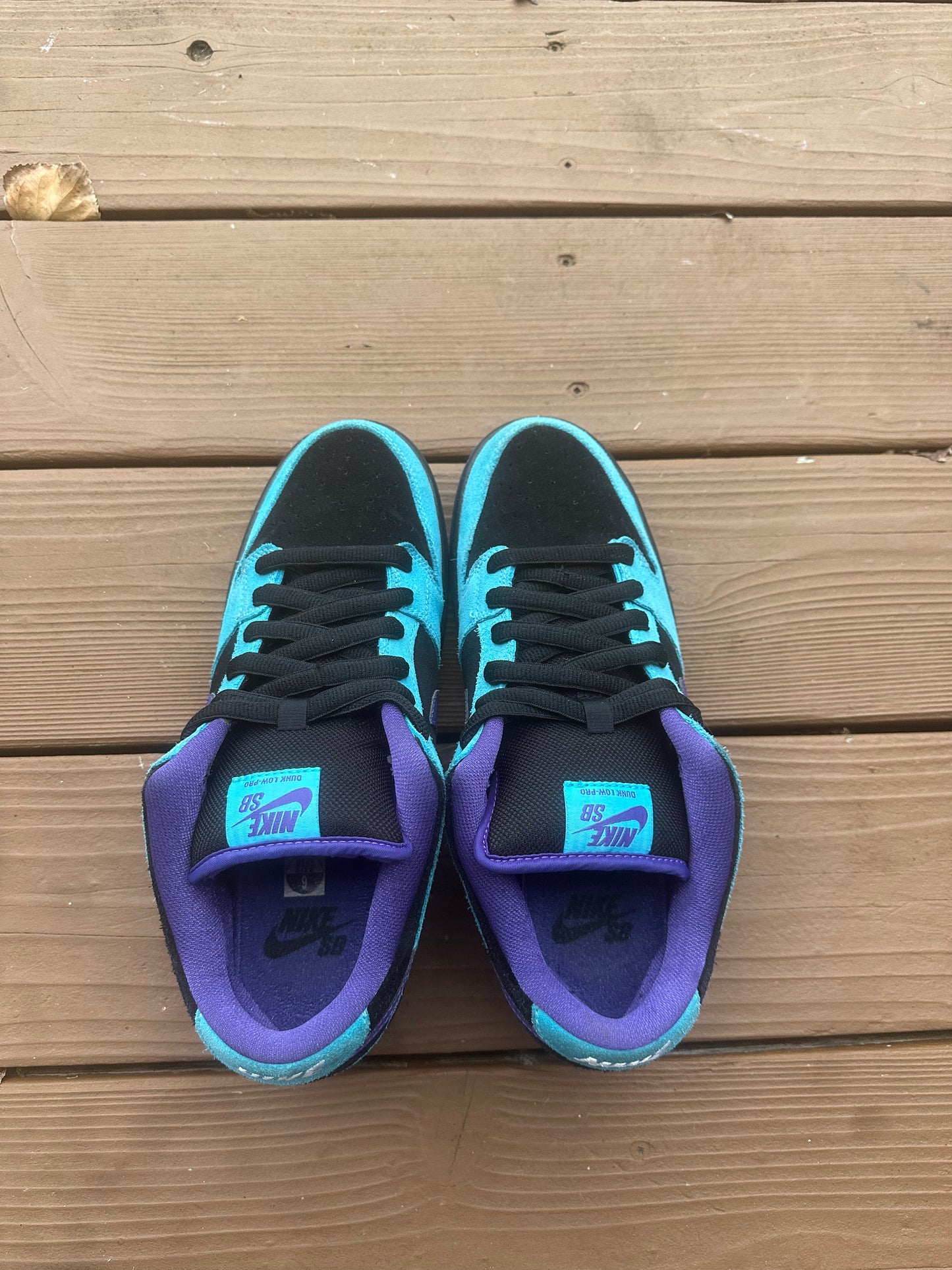Size 9 - Nike Dunk Low Pro SB Skeletor