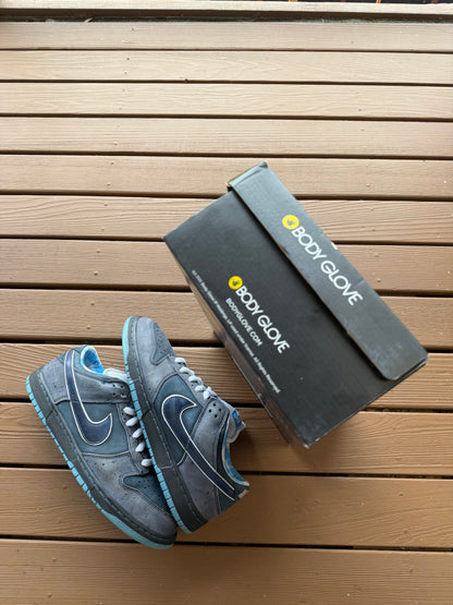 Size 11 - Concepts x Nike SB Dunk Low Premium Blue Lobster