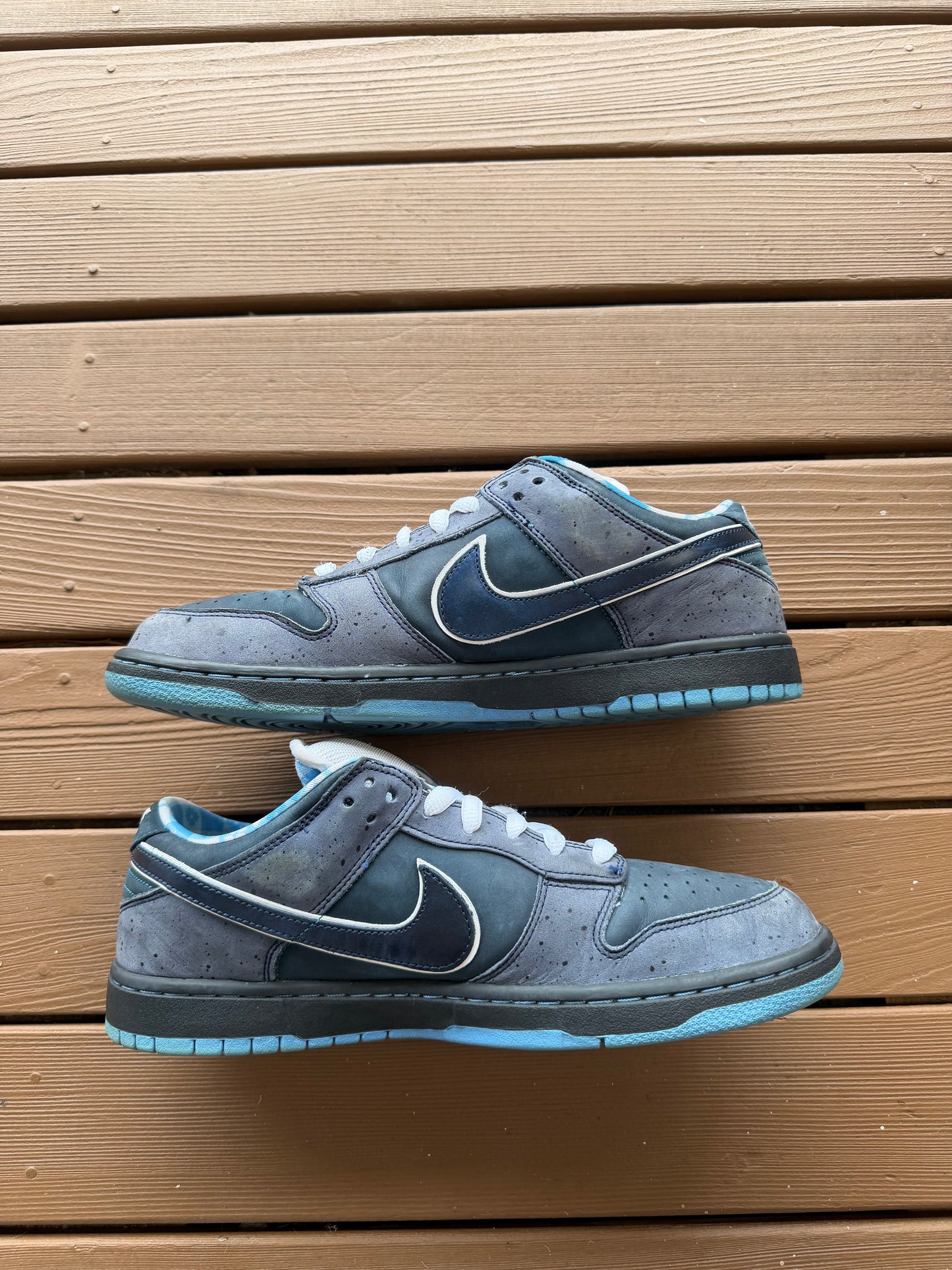 Size 11 - Concepts x Nike SB Dunk Low Premium Blue Lobster