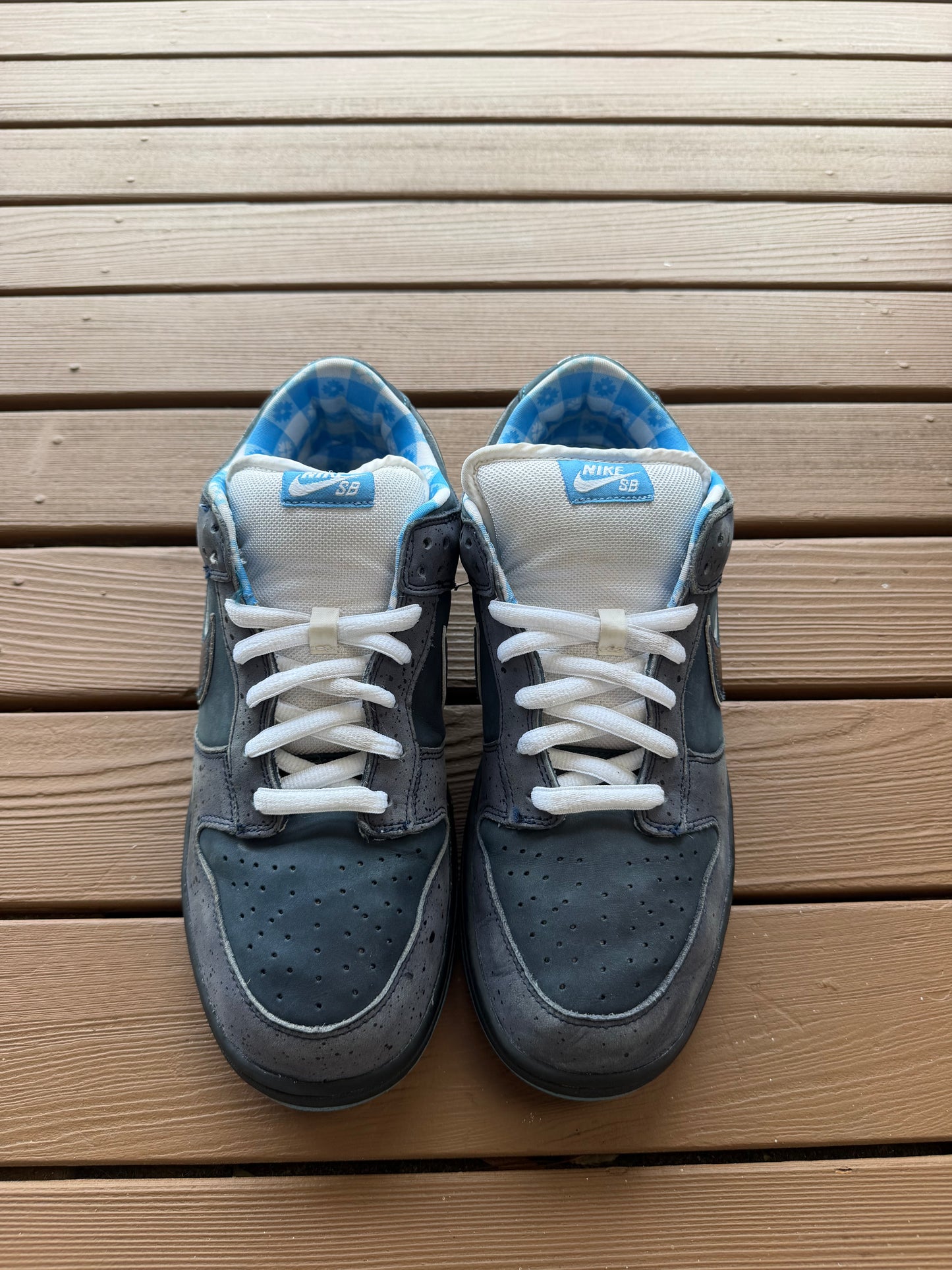 Size 11 - Concepts x Nike SB Dunk Low Premium Blue Lobster