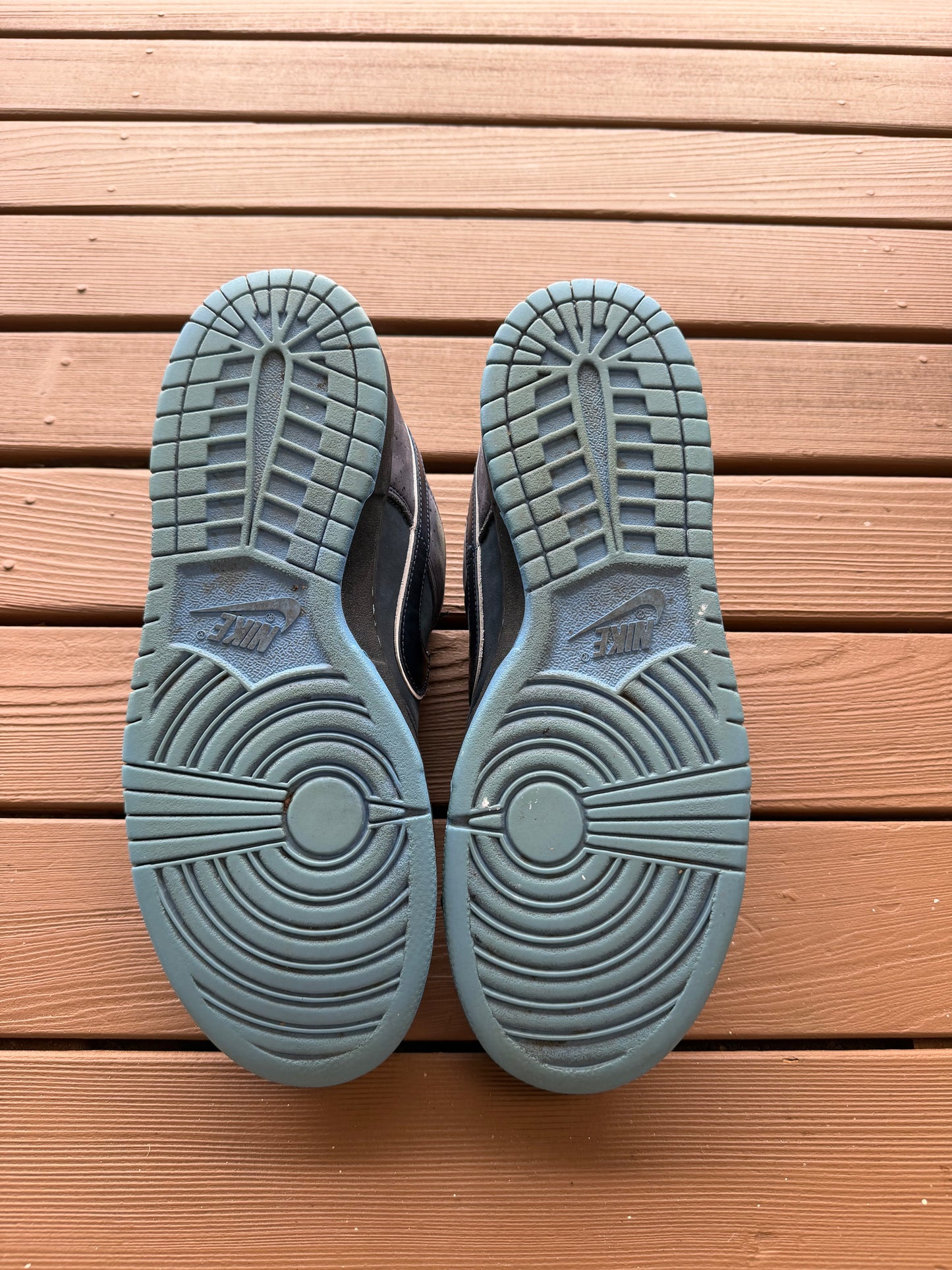 Size 11 - Concepts x Nike SB Dunk Low Premium Blue Lobster