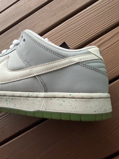 Size 11 - Nike Dunk Low Premium SB Marty McFly