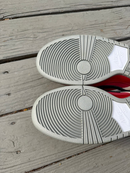 Size 11.5 - Nike Dunk Low Premium SB Roller Derby