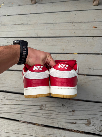 Size 10.5 - Nike Dunk Low Pro SB Valentine’s Day