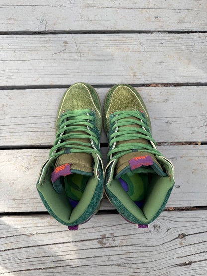 Size 9.5 - Nike Dunk High Premium SB Skunk