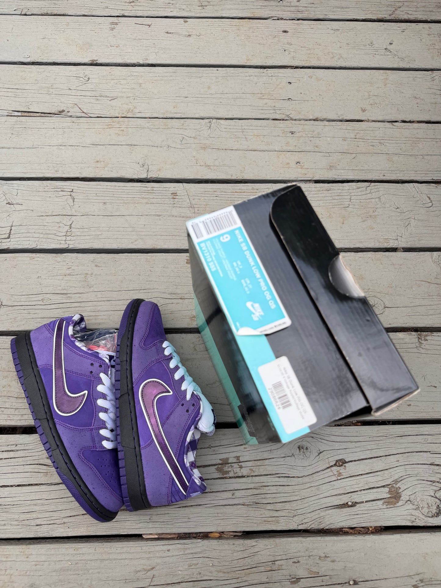 Size 9 - Concepts x Nike SB Dunk Low Premium Purple Lobster