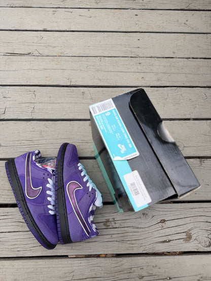 Size 9 - Concepts x Nike SB Dunk Low Premium Purple Lobster