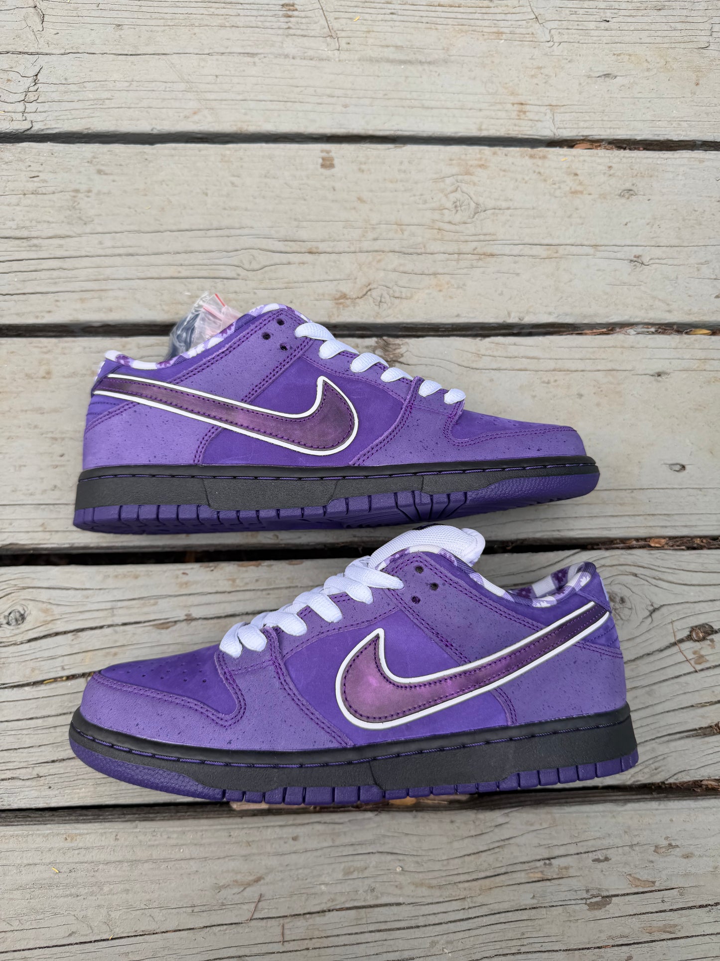 Size 9 - Concepts x Nike SB Dunk Low Premium Purple Lobster
