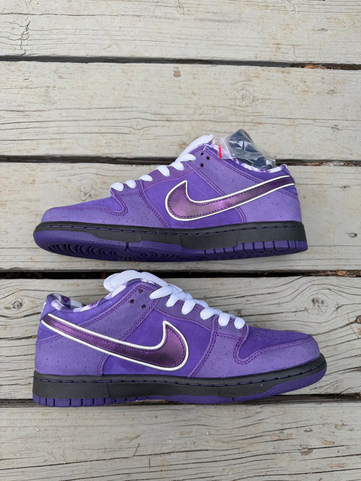Size 9 - Concepts x Nike SB Dunk Low Premium Purple Lobster