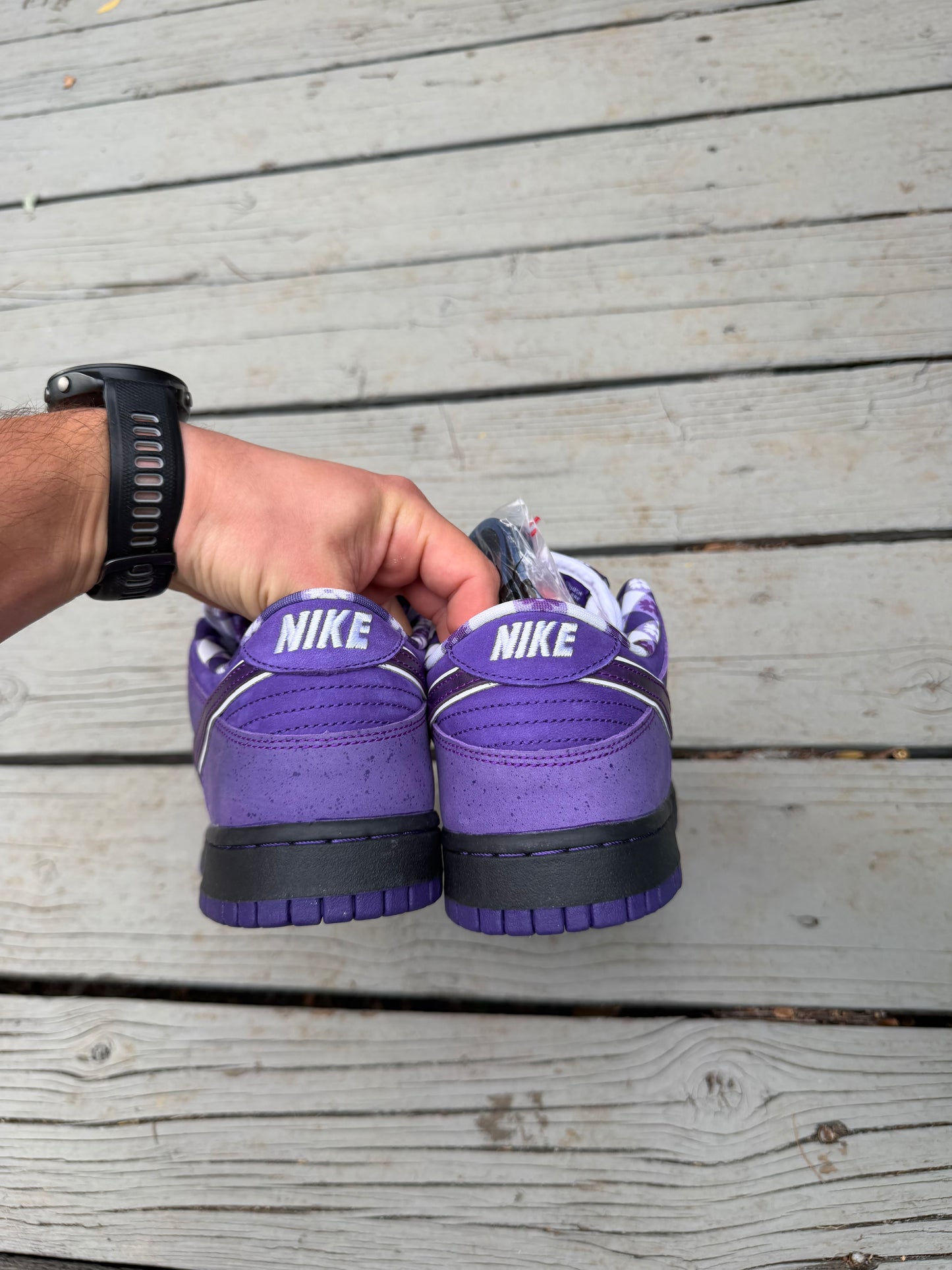 Size 9 - Concepts x Nike SB Dunk Low Premium Purple Lobster