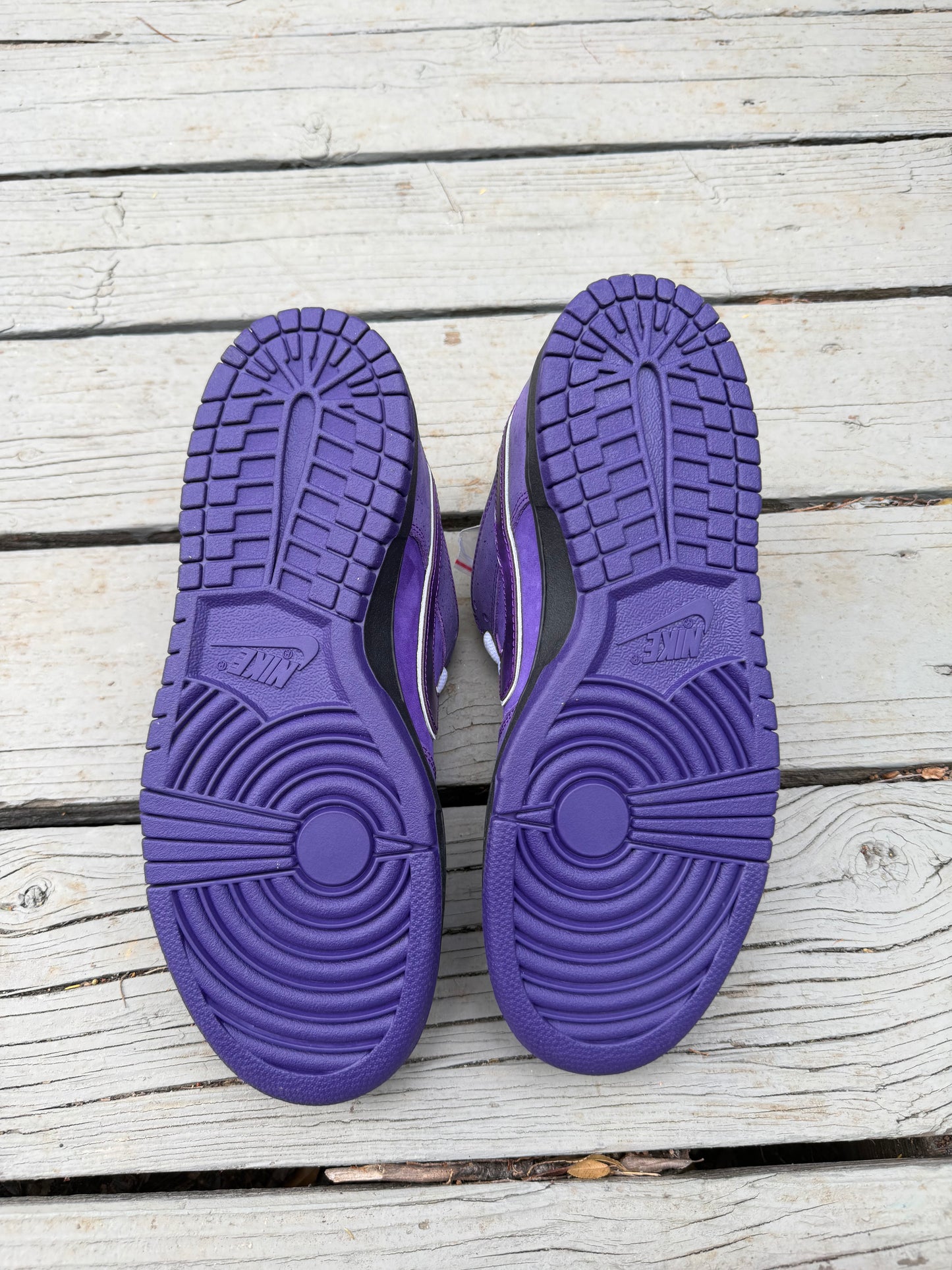 Size 9 - Concepts x Nike SB Dunk Low Premium Purple Lobster