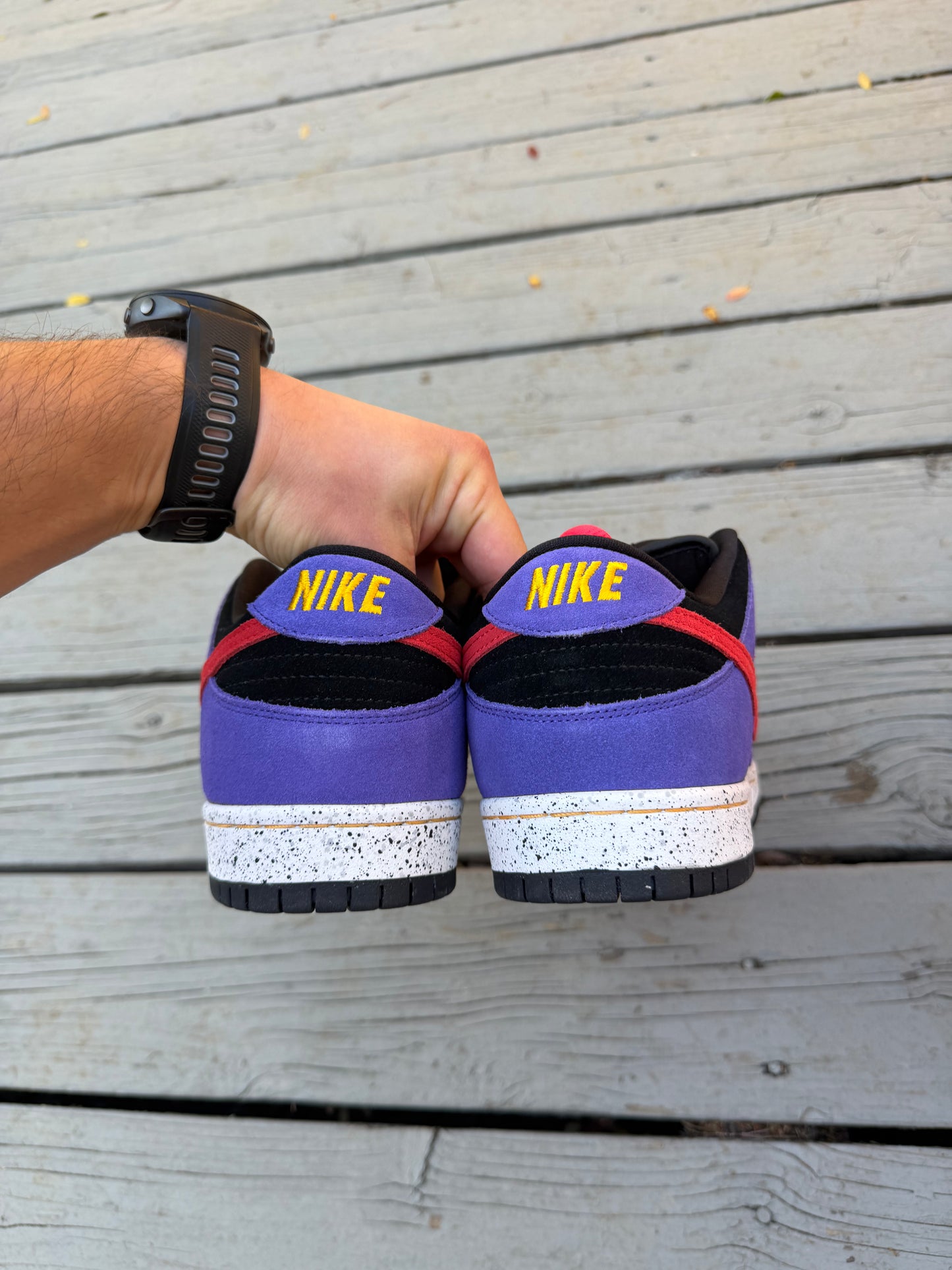Size 12 - Nike Dunk Low Pro SB ACG Terra