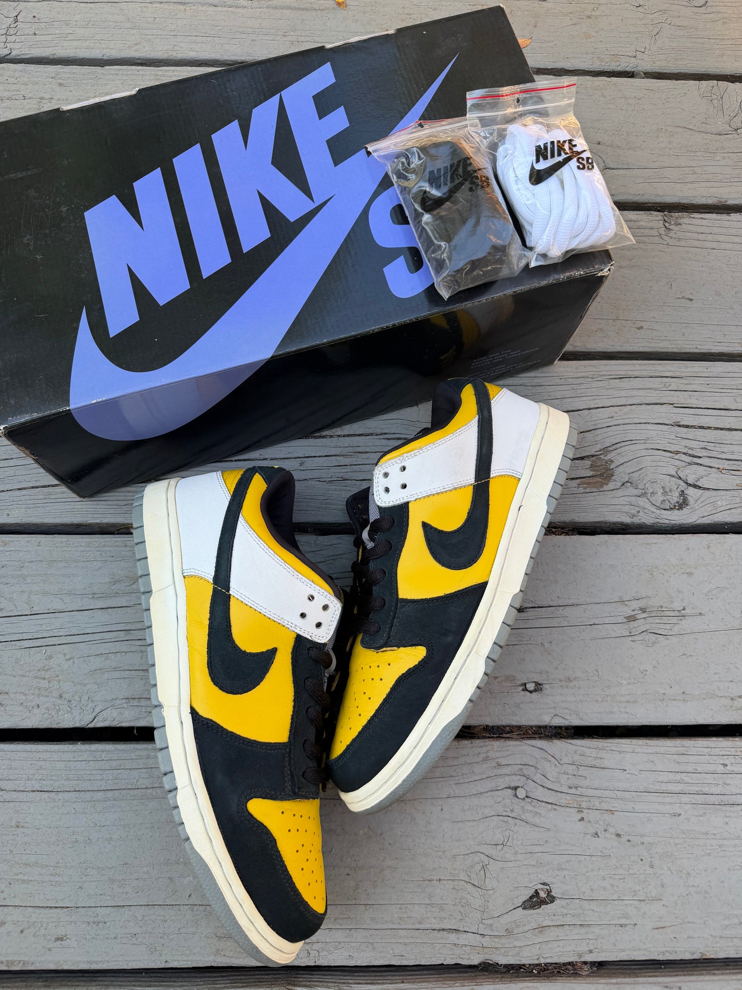 Size 10.5 - Nike Dunk Low Pro SB Bic