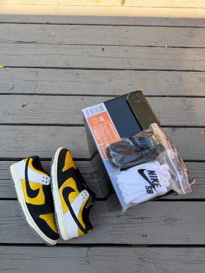 Size 10.5 - Nike Dunk Low Pro SB Bic