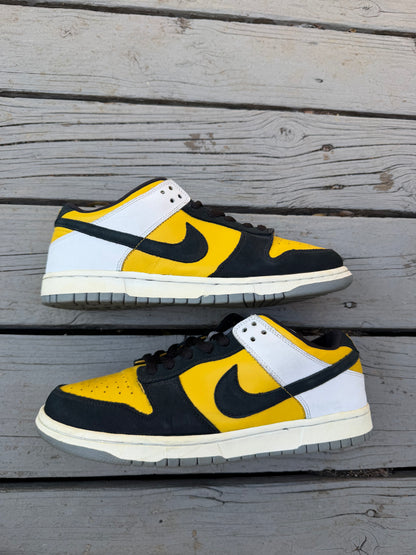 Size 10.5 - Nike Dunk Low Pro SB Bic