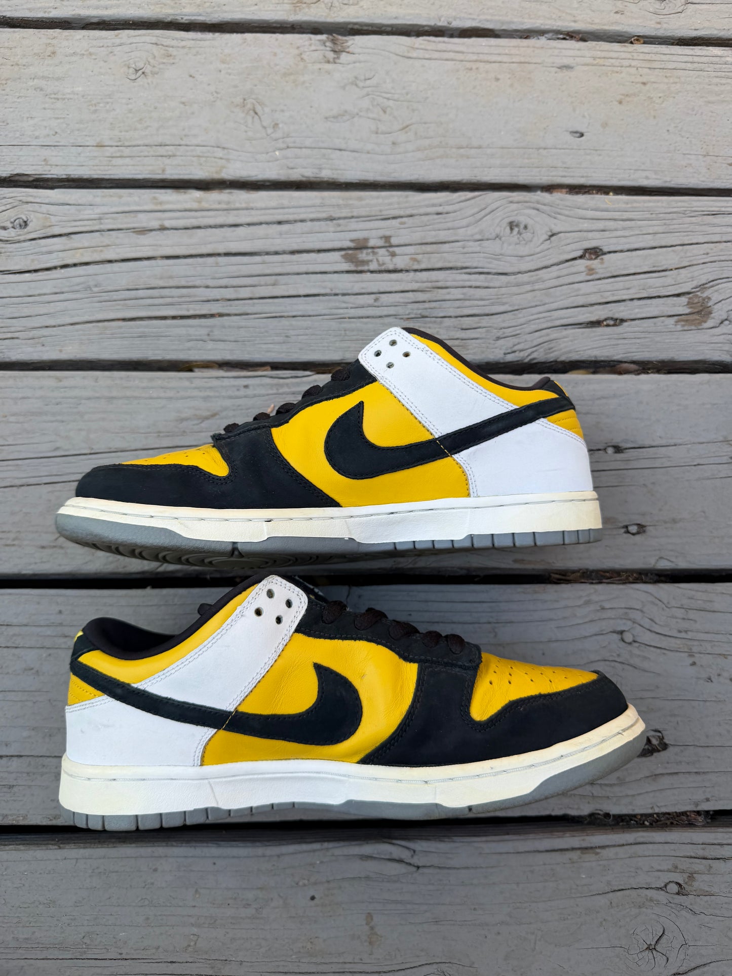 Size 10.5 - Nike Dunk Low Pro SB Bic