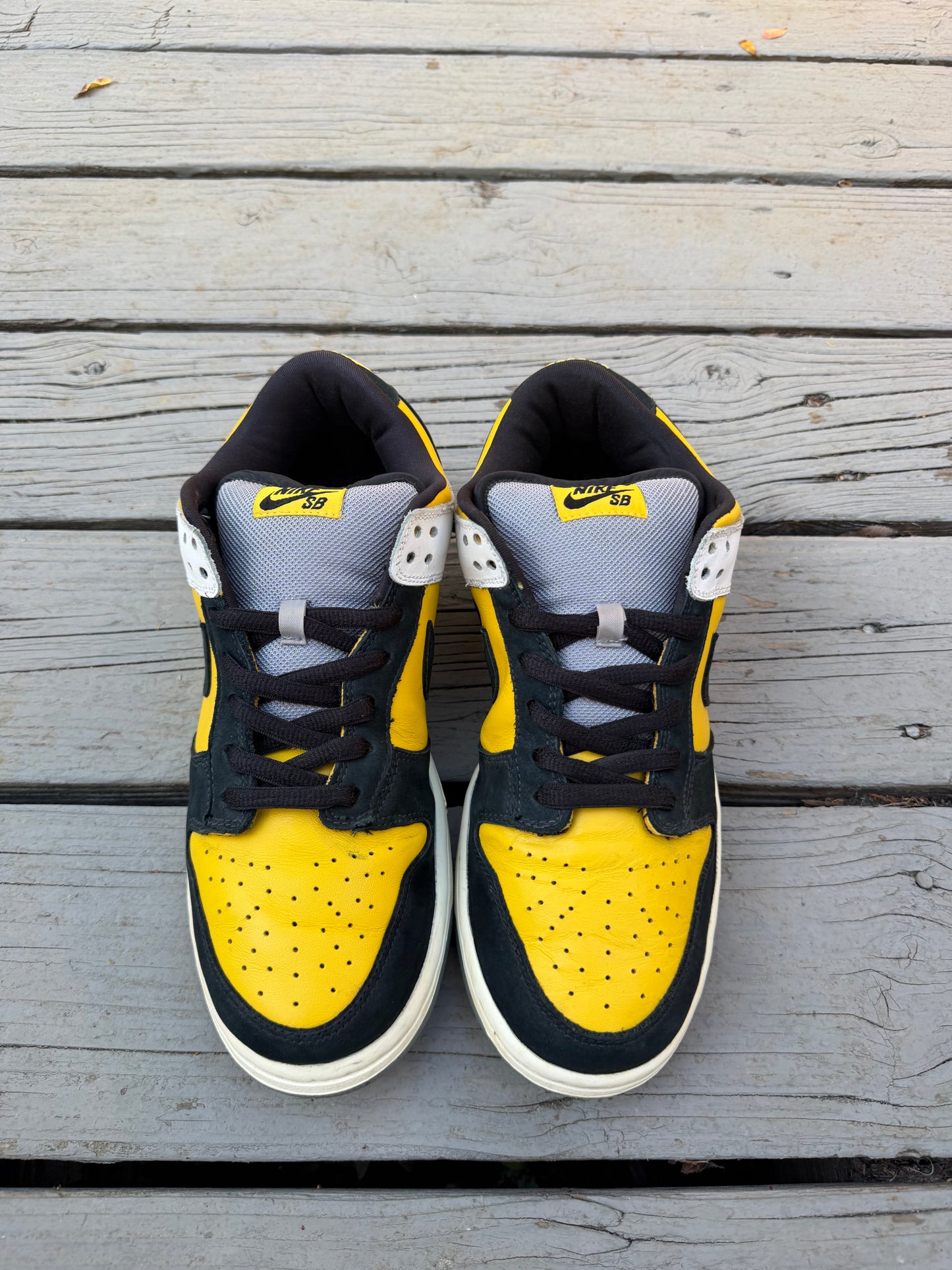 Size 10.5 - Nike Dunk Low Pro SB Bic