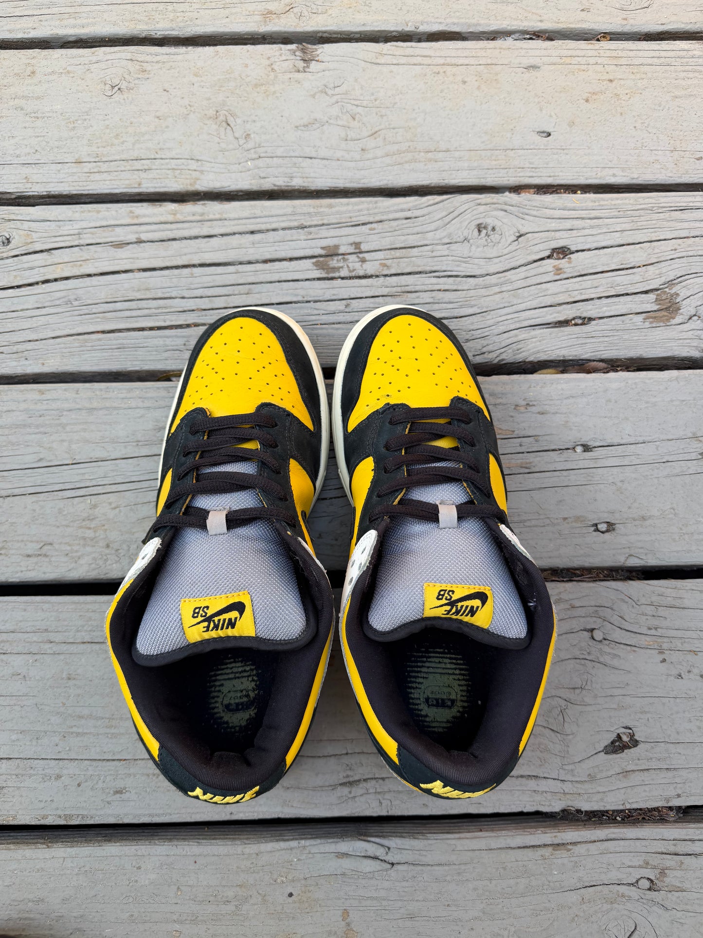 Size 10.5 - Nike Dunk Low Pro SB Bic