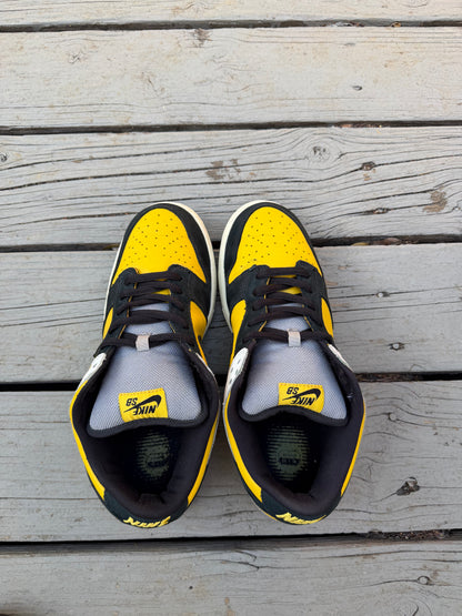 Size 10.5 - Nike Dunk Low Pro SB Bic