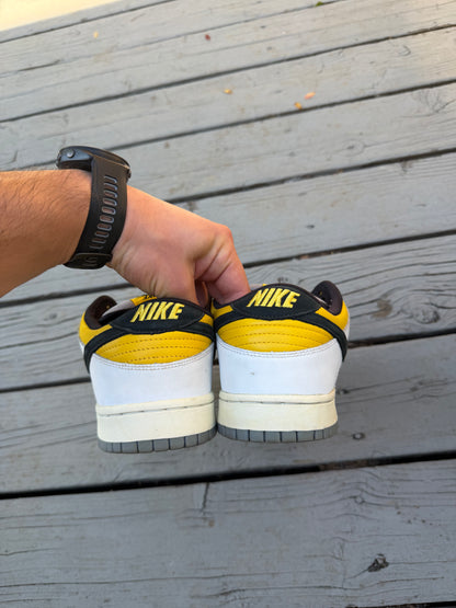 Size 10.5 - Nike Dunk Low Pro SB Bic
