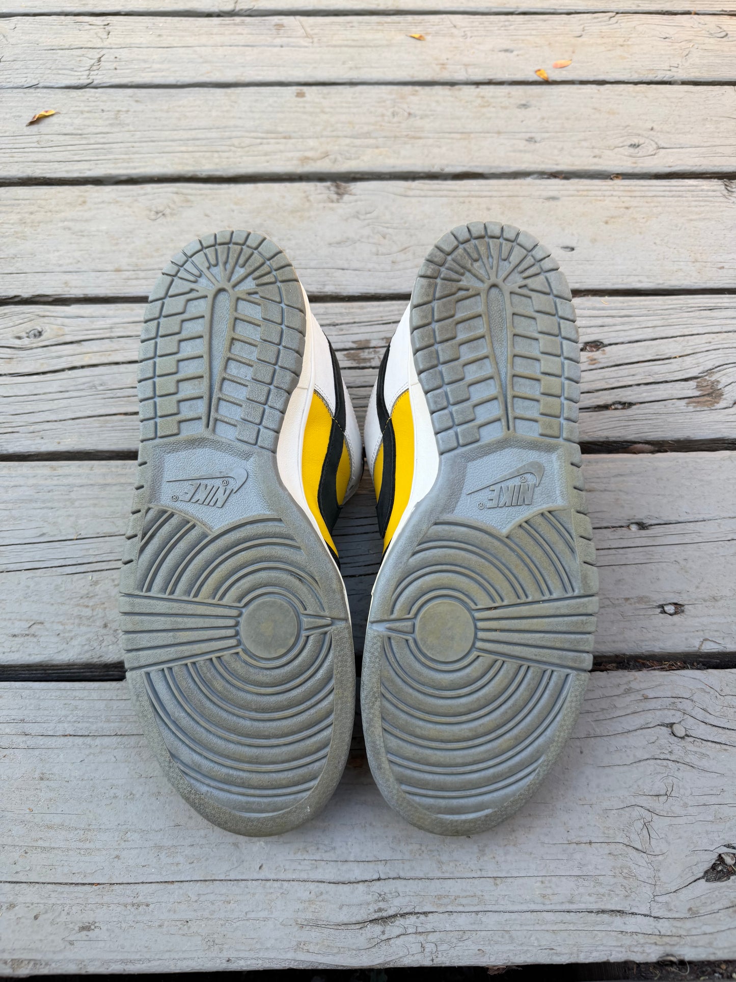 Size 10.5 - Nike Dunk Low Pro SB Bic
