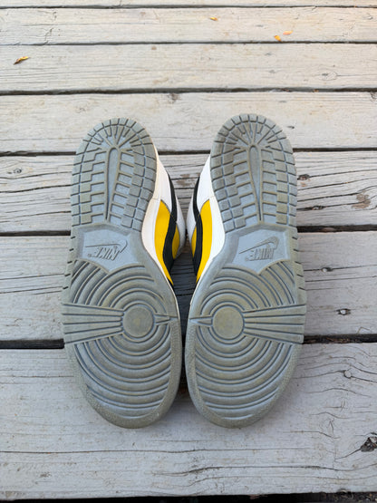 Size 10.5 - Nike Dunk Low Pro SB Bic